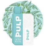 Starter Kit Flip Menthe Polaire by PULP : Pod Menthe Polaire et sa batterie | 😍 PROMOS et PRIX DÉGRESSIFS 😍 | Made in France 👍 | ⚡⚡⚡ LIVRAISON RAPIDE ⚡⚡⚡ eliquide-jungle.fr