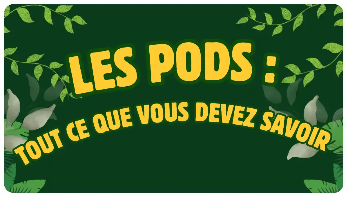 Les-Pods-tout-ce-que-vous-devez-savoir