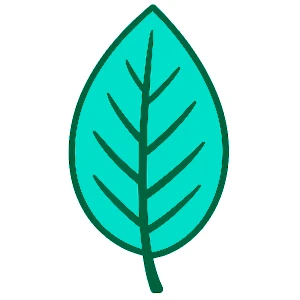 Menthes